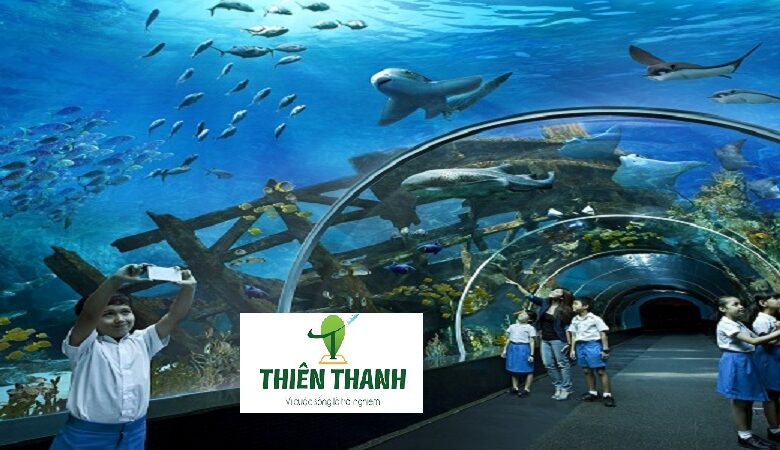 Thủy Cung S.E.A Aquarium Tại Singapore